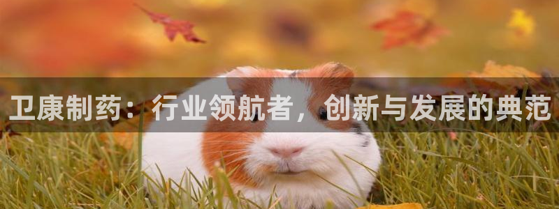 九游老哥俱乐部官网登录:卫康制药:行业领航者,创新与发展的典