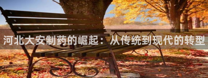 ag九游老哥俱乐部:河北大安制药的崛起:从传统到现代的转型